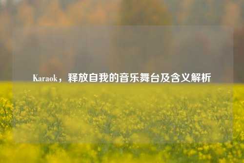 Karaok,释放自我的音乐舞台及含义解析