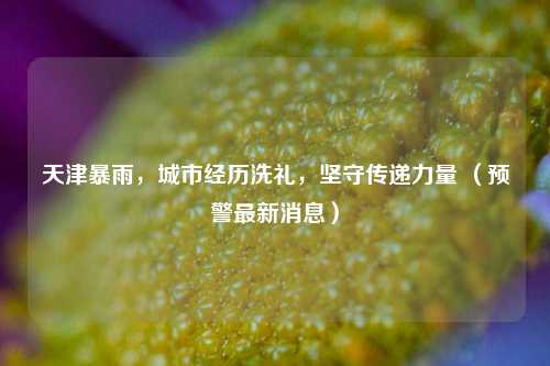天津暴雨，城市经历洗礼，坚守传递力量 （预警最新消息）