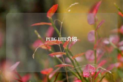 PUBG LITE介绍