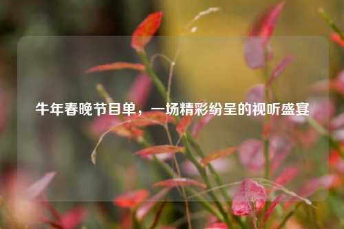 牛年春晚节目单，一场精彩纷呈的视听盛宴