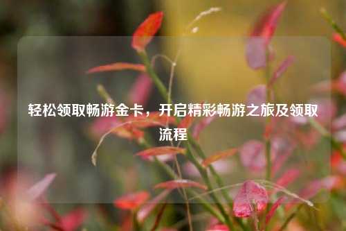 轻松领取畅游金卡,开启精彩畅游之旅及领取流程