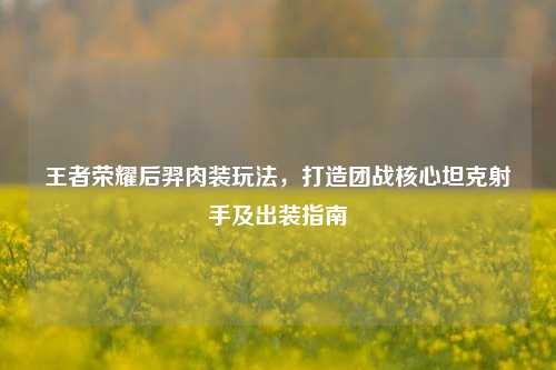 王者荣耀后羿肉装玩法，打造团战核心坦克射手及出装指南