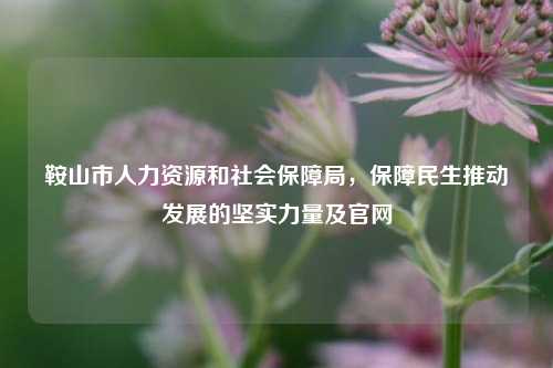 鞍山市人力资源和社会保障局,保障民生推动发展的坚实力量及官网