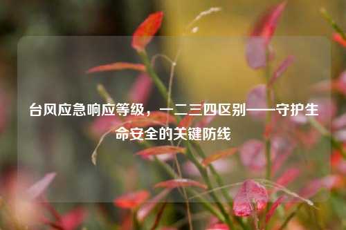 台风应急响应等级，一二三四区别——守护生命安全的关键防线
