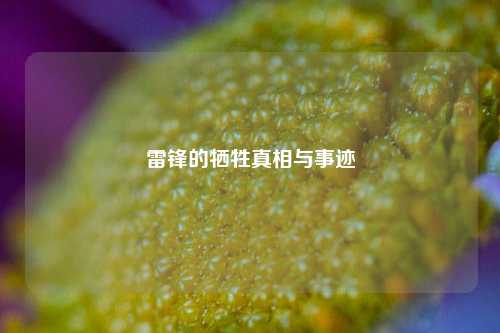 雷锋的牺牲真相与事迹