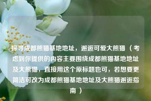 探寻成都熊猫基地地址，邂逅可爱大熊猫 （考虑到你提供的内容主要围绕成都熊猫基地地址及大熊猫，直接用这个原标题也可，若想要更简洁可改为成都熊猫基地地址及大熊猫邂逅指南 ）