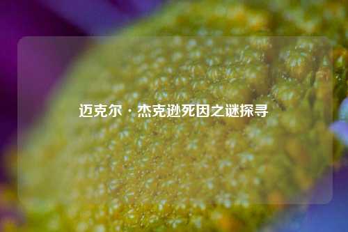 迈克尔·杰克逊死因之谜探寻