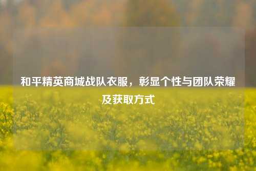 和平精英商城战队衣服，彰显个性与团队荣耀及获取方式
