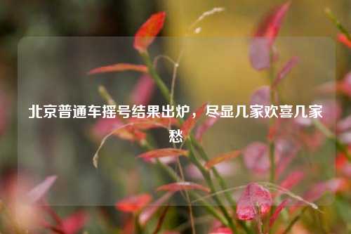 北京普通车摇号结果出炉，尽显几家欢喜几家愁
