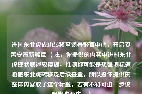进村东北虎成功转移至饲养繁育中心，开启妥善安置新篇章 （注，你提供的内容中进村东北虎现状表述较模糊，推测你可能是想强调标题涵盖东北虎转移及后续安置，所以按你提供的整体内容取了这个标题，若有不符可进一步说明修改要求。）