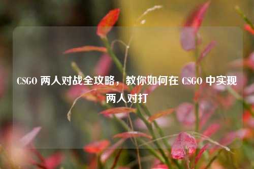 CSGO 两人对战全攻略，教你如何在 CSGO 中实现两人对打