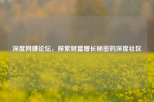 深度网赚论坛，探索财富增长秘密的深度社区