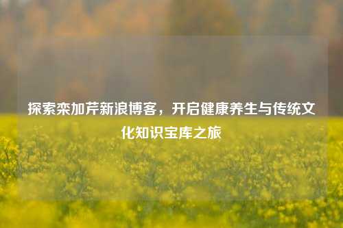 探索栾加芹新浪博客，开启健康养生与传统文化知识宝库之旅