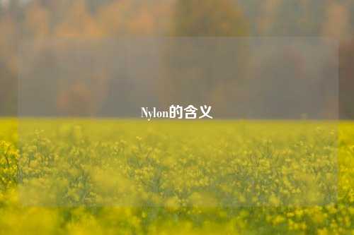Nylon的含义