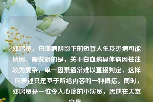 邓鸣贺,白血病阴影下的短暂人生及患病可能诱因,需说明的是,关于白血病具体病因往往较为复杂,单一因素通常难以直接判定,这样的表述只是基于所给内容的一种概括。同时,邓鸣贺是一位令人心疼的小演员,愿他在天堂安息。