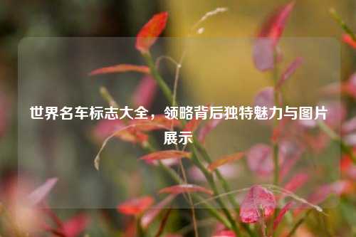 世界名车标志大全,领略背后独特魅力与图片展示