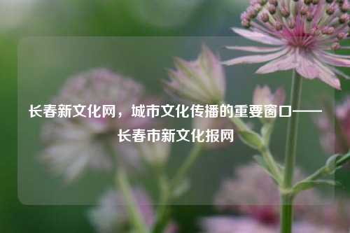 长春新文化网,城市文化传播的重要窗口——长春市新文化报网