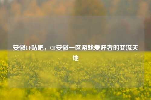 安徽CF贴吧,CF安徽一区游戏爱好者的交流天地