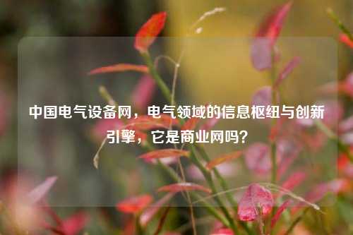 中国电气设备网，电气领域的信息枢纽与创新引擎，它是商业网吗？
