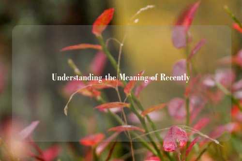 Understanding the Meaning of Recently