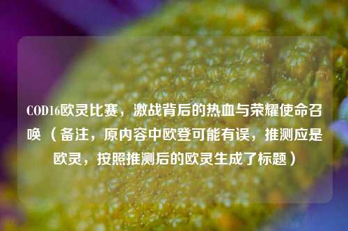 COD16欧灵比赛,激战背后的热血与荣耀使命召唤 (备注,原内容中欧登可能有误,推测应是欧灵,按照推测后的欧灵生成了标题)