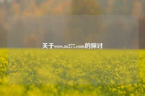 关于www.m277.com的探讨