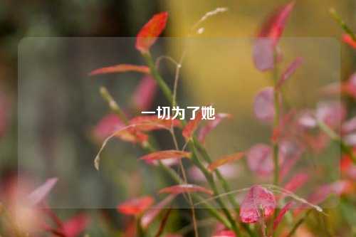 一切为了她