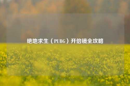 绝地求生（PUBG）开倍镜全攻略