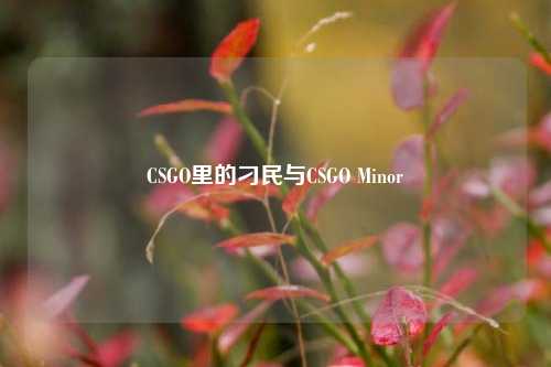 CSGO里的刁民与CSGO Minor