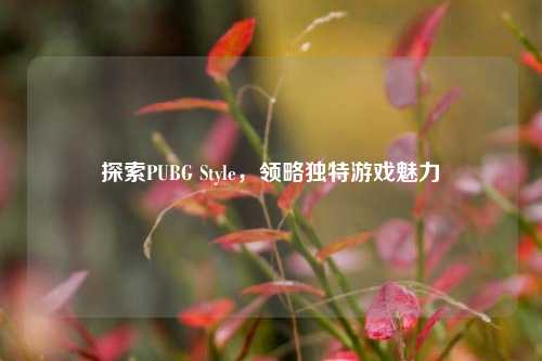 探索PUBG Style，领略独特游戏魅力