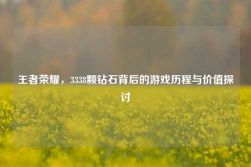 王者荣耀，3338颗钻石背后的游戏历程与价值探讨