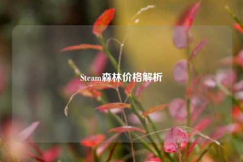 Steam森林价格解析