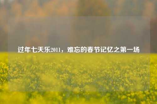 过年七天乐2011,难忘的春节记忆之第一场