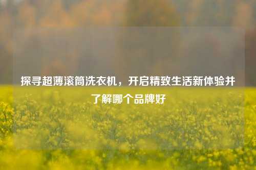 探寻超薄滚筒洗衣机，开启精致生活新体验并了解哪个品牌好