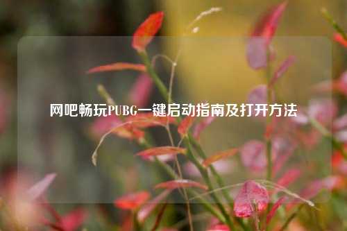 网吧畅玩PUBG一键启动指南及打开方法