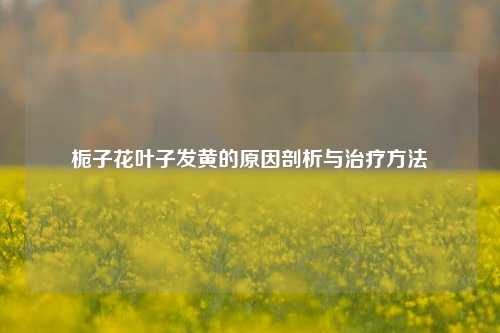 栀子花叶子发黄的原因剖析与治疗方法
