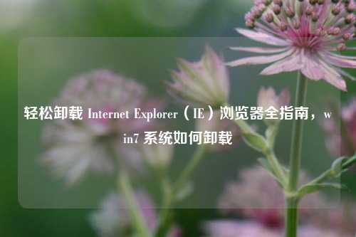 轻松卸载 Internet Explorer（IE）浏览器全指南，win7 系统如何卸载