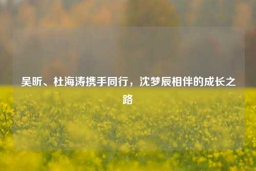吴昕、杜海涛携手同行，沈梦辰相伴的成长之路