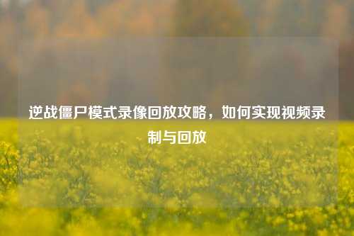 逆战僵尸模式录像回放攻略,如何实现视频录制与回放