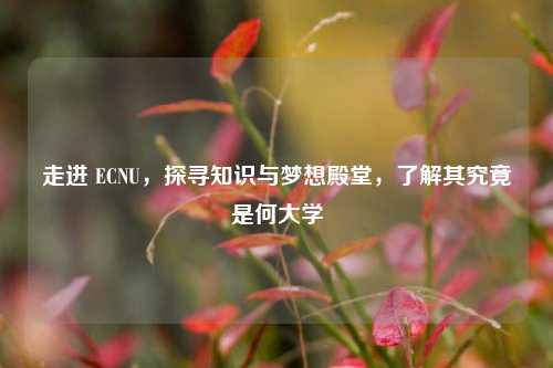走进 ECNU，探寻知识与梦想殿堂，了解其究竟是何大学