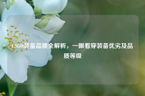 CSGO装备品质全解析，一眼看穿装备优劣及品质等级