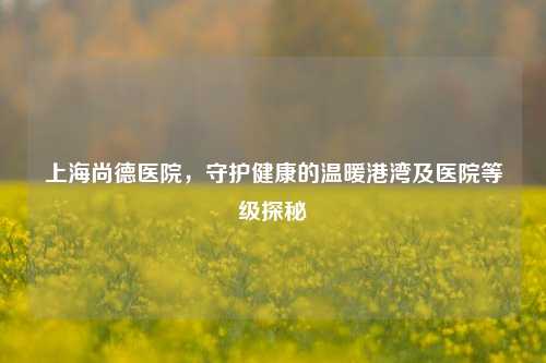 上海尚德医院，守护健康的温暖港湾及医院等级探秘