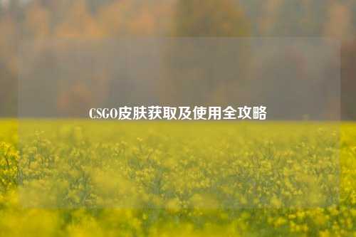 CSGO皮肤获取及使用全攻略
