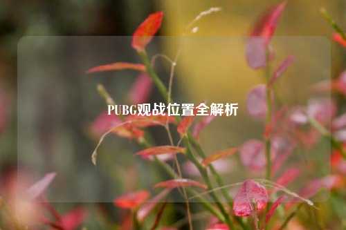 PUBG观战位置全解析