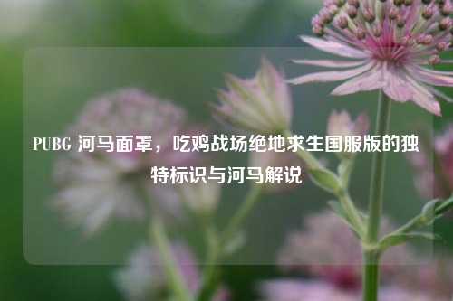 PUBG 河马面罩，吃鸡战场绝地求生国服版的独特标识与河马解说