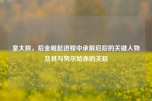 皇太极,后金崛起进程中承前启后的关键人物及其与努尔哈赤的关联