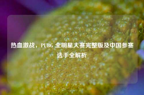 热血激战,PUBG 全明星大赛完整版及中国参赛选手全解析
