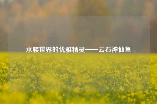 水族世界的优雅精灵——云石神仙鱼