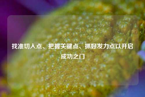 找准切入点、把握关键点、抓好发力点以开启成功之门