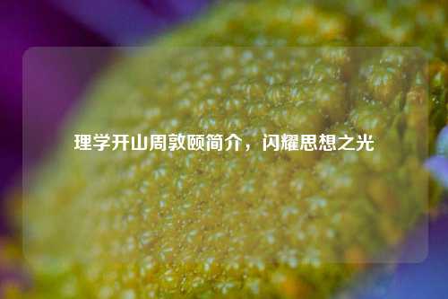 理学开山周敦颐简介，闪耀思想之光